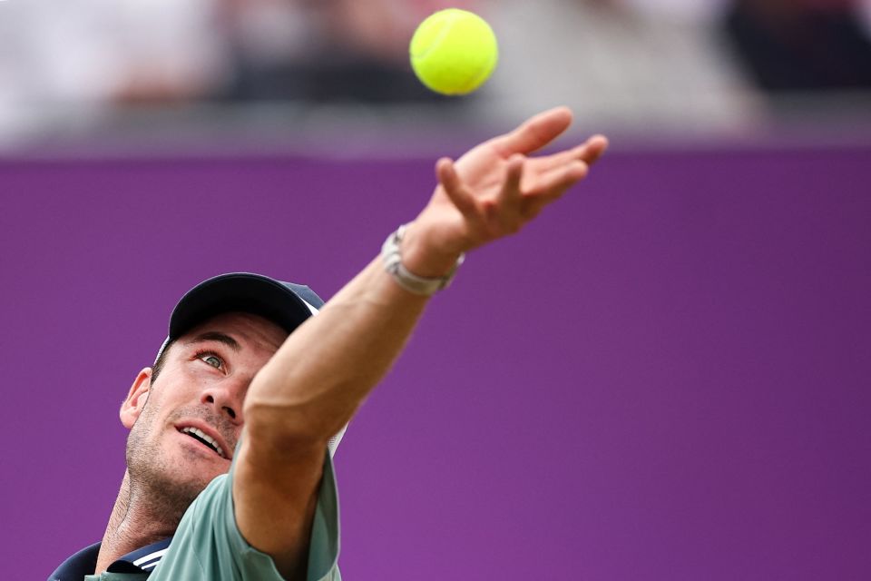 欧洲化元素 欧洲化元素